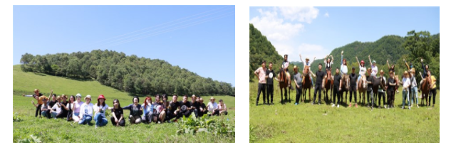 1637889508543787.png image.png